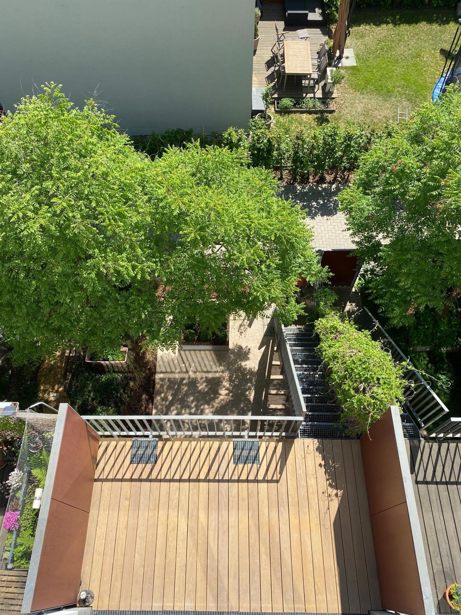 Townhouse Alaunpark Villa Dresden Eksteriør bilde